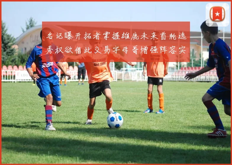 名记曝开拓者掌握雄鹿未来首轮选秀权欲借此交易字母哥增强阵容实力