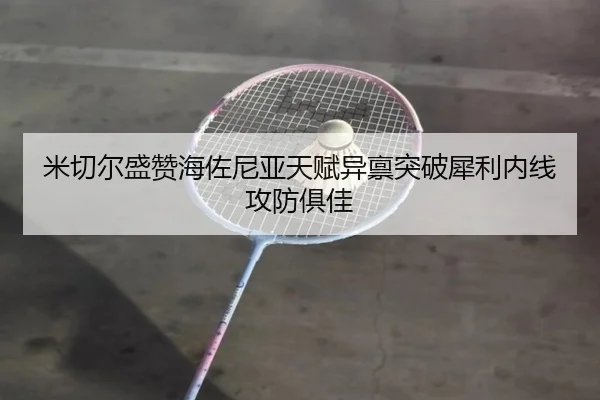 米切尔盛赞海佐尼亚天赋异禀突破犀利内线攻防俱佳